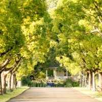 St. Supéry Estate Vineyards and Winery